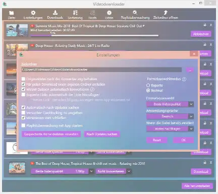 Screenshot des Download Vorganges beim Video-Downloader